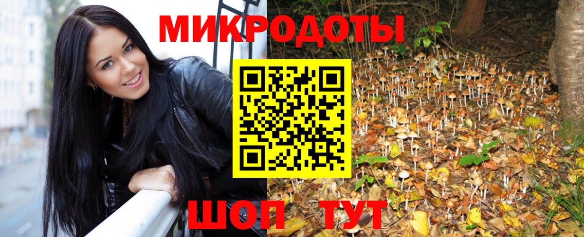 Псилоцибиновые грибы MAGIC MUSHROOMS  Вход с VPN  Родники 